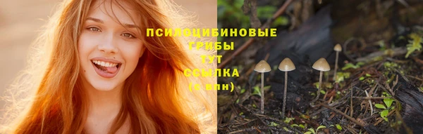 PSILOCYBIN Верея